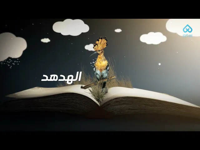 الحيوانات في القرآن | الهدهد 04