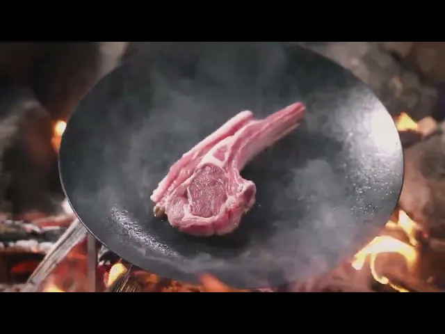 Real Meat in Dragon's Dogma 2