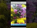 Download Lagu CARA TAMBAH RESOLUSI  TIDAK LOW QUALITY DI ADOBE PHOTOSHOP