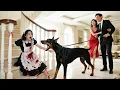 Download Lagu Evil woman sets dogs on maid—big mistake! She's the CEO's lover! Revenge is coming!