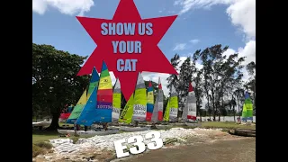 Show Us Your Cat! Episode 33 Mozambique, Nigeria and USA