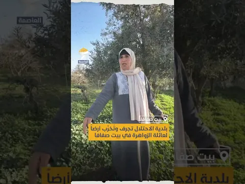 بلدية الاحتلال تجرف وتخرب أرضا لعائلة الزواهرة في بيت صفافا