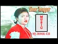 Download Lagu Lagu Bugis Tempo Dulu TAU RIWELAIE Voc. HJ. IRMA CS