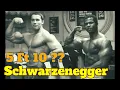 Arnold Schwarzenegger s REAL height - Cuanto mide Arnold Schwarzenegger