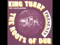 Roots Of Dub
