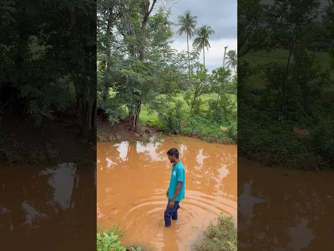💖💥இரவில் பொழிந்த மழையினால் ஓடைகளில் நீரோட்டம் 💢⁉️