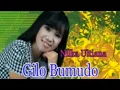 Download Lagu Gilo Bumudo Nilka Ultiana Lagu Kerinci