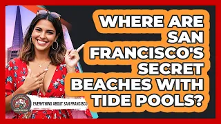Where Are San Francisco s Secret Beaches With Tide Pools - Everything About San Francisco