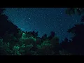 Download Lagu Suara  Hutan Tropis Malam Hari