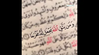 ومن يتق الله يجعل له مخرجا بصوت الشيخ ماهر المعيقلي  ومن يتق الله يجعل له مخرجا بصوت الشيخ ماهر المعيقلي