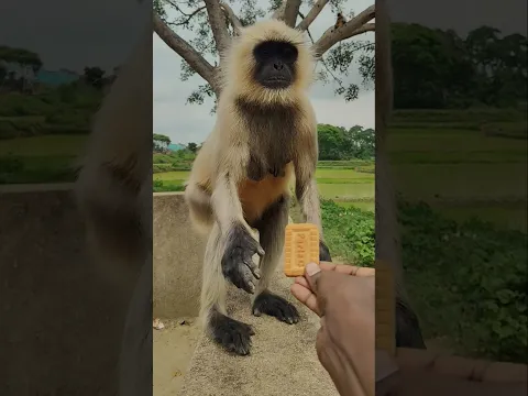 Jai Bajrang 🪔🪔