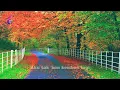Download Lagu Tantowi Yahya - Tak Sendiri Lagi