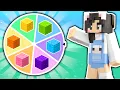 Wheel Spin Decides Colors of my Minecraft House