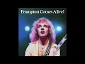 Lagu PETER  FRAMPTON :   Frampton Comes  Alive !  LP  1976  vinyl  full album