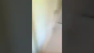 خلودة بدو يجرب ترند تحويل عرنوس الذرة الى فشار  دندنها