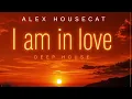 I am in Love  (Alex HouseCat Remix )Is for a best Women in this World ❤️