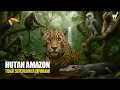 Download Lagu Amazon: Panggung Pertarungan Diam-Diam Antar Spesies