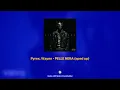 Pyrex, Wayne - PELLE NERA (sped up)