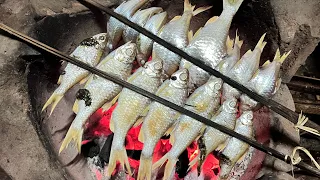 ว่านแหหากินปลาขาวน้อยแม่น้ำธรรมชาติ | ຂວ່າງແຫຫາກິນປານ້ອຍທຳມະຊາດນໍ້າແມ່
