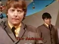 Animals   - Don't let me be Misunderstood