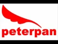 Download Lagu peterpan menghapus jejakmu