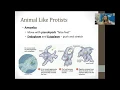 Protist and Fungi