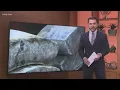 Williamson County deputies seize 170 pounds of drugs