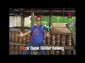 Download Lagu Edi Cotok-Sopir Batak Album Kocak Cotok Dkk