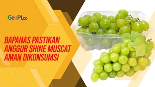 Bapanas Ungkap Hasil Pengawasan Keamanan Pangan Anggur Shine Muscat