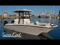 Sea Cat 260 Hybrid Catamaran Detailed Walk Through