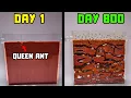I Raised a Mail-Order Ant Colony from 1 to 1 000 Ants