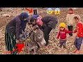 Lagu Scary donkey fall into a valley and the effort to save it