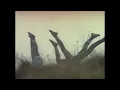 Grouper - Heavy Water / I'd Rather Be Sleeping