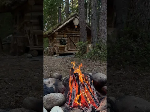 There are no mosquitoes near my log cabin in the woods this year 😎