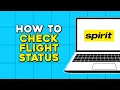How To Check Flight Status Using Flight Number on Spirit Airlines Easiest Way