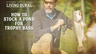 How to Stock a Pond for Trophy Bass Living Rural Pond Management YouTube