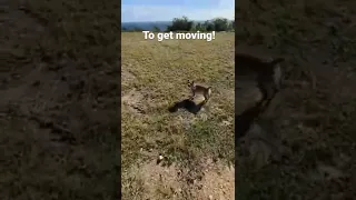 Morning MOTIVATION to get moving! #shorts #morningmotivation #getmoving