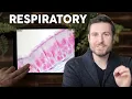 Respiratory Lung Histology Explained for Beginners Corporis