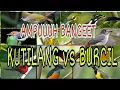 Download Lagu SUARA PIKAT KUTILANG RIBUT vs BURCIL 100% SANGAAAAT AMPUUUH
