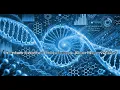 Quantum-Inspired Evolutionary Algorithms Principles and Applications
