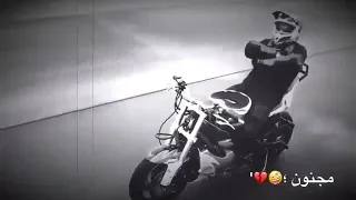 اصحاب مصلحجية 