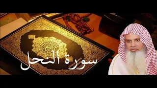 سورة النحل الصفحة     مكتوبة بصوت الشيخ الحذيفي دندنها
