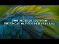 Milo j & Carafea - Bajo De La Piel (La Jangada) (Lyrics/Letra)