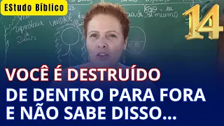 #14  A ALMA UMA BOMBA💣💥 Dentro de Você saiba como destruição e derrota vem de dentro/ Silvana Mara