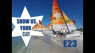 Show us your cat Episode 23 California, North Carolina and Florida USA