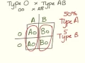 Freshman genetics Blood type problems