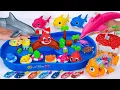 Download Lagu [Toy asmr] RC Dolphin \u0026 Baby Shark \u0026 Zuru Fish \u0026 RC Shark Aquarium ASMR Satisfying with Unboxing