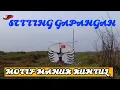 Download Lagu SETTING GAPANGAN RAM - RAMAN KHAS BANYUWANGI MOTIF MANUK