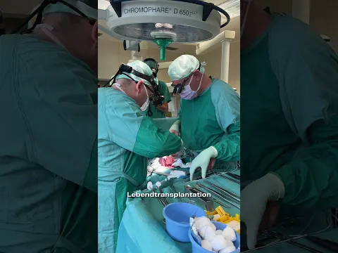 Ich war bei einer Organtransplantation dabei! 🫀