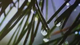 يا من عصيت HD عبدالله المهداوي 